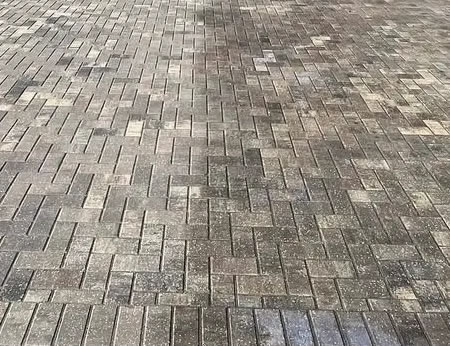 Wet Look vs. Natural Look Paver Sealer: Which Finish Is Right for Florida Homes? Thumbnail