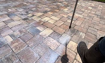 Paver maintenance image